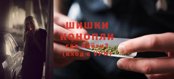 ПСИЛОЦИБИНОВЫЕ ГРИБЫ Нея